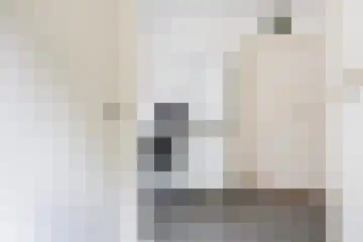 Lytsedyk 26 Menaam thumbnail 29