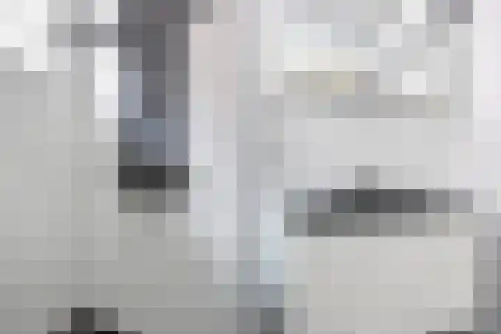 Lytsedyk 26 Menaam thumbnail 32