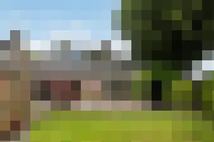 Lytsedyk 26 Menaam thumbnail 45