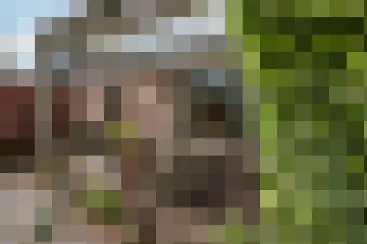 Lytsedyk 26 Menaam thumbnail 46