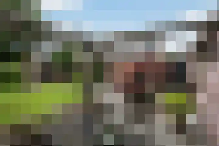 Lytsedyk 26 Menaam thumbnail 47