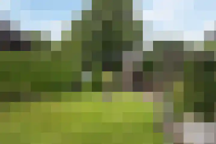 Lytsedyk 26 Menaam thumbnail 49