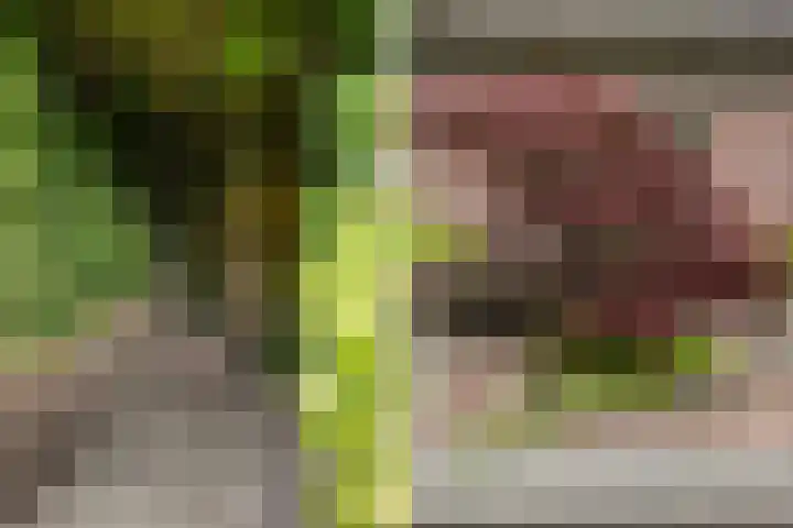 Lytsedyk 26 Menaam thumbnail 50
