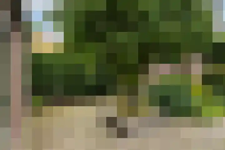 Lytsedyk 26 Menaam thumbnail 55