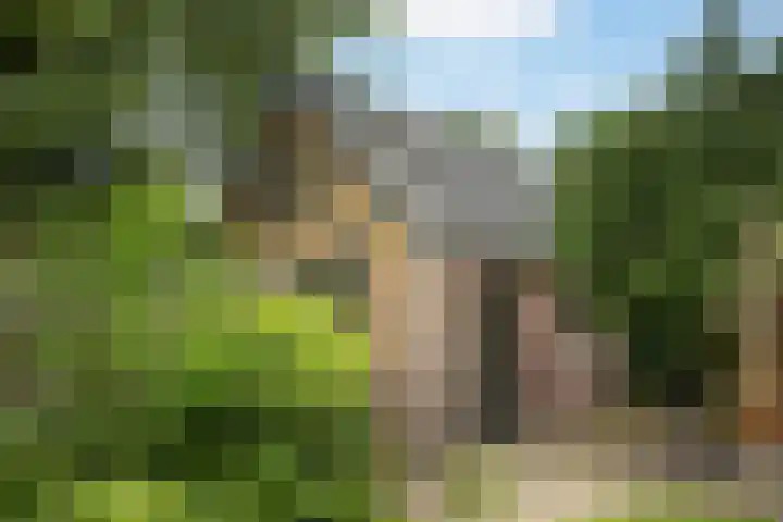 Lytsedyk 26 Menaam thumbnail 56