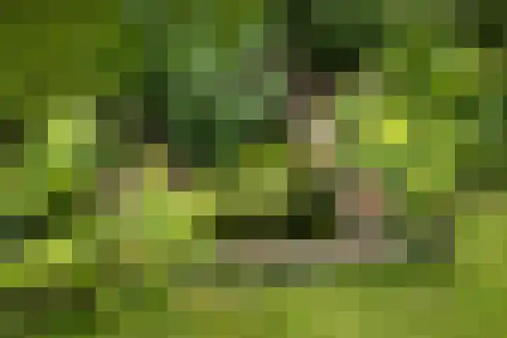 Lytsedyk 26 Menaam thumbnail 57