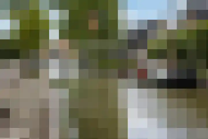 Lytsedyk 26 Menaam thumbnail 62
