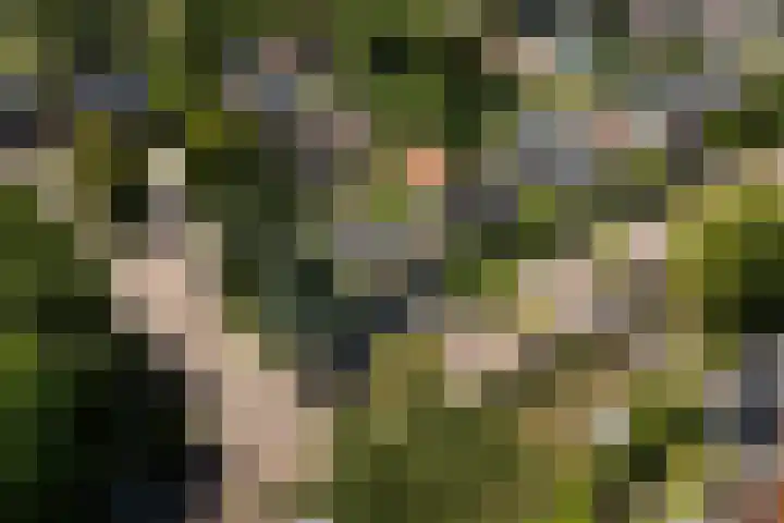 Lytsedyk 26 Menaam thumbnail 68