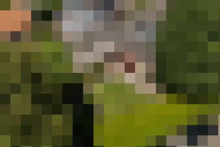 Lytsedyk 26 Menaam thumbnail 69