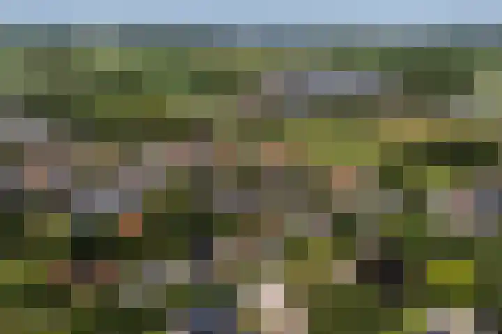 Lytsedyk 26 Menaam thumbnail 71