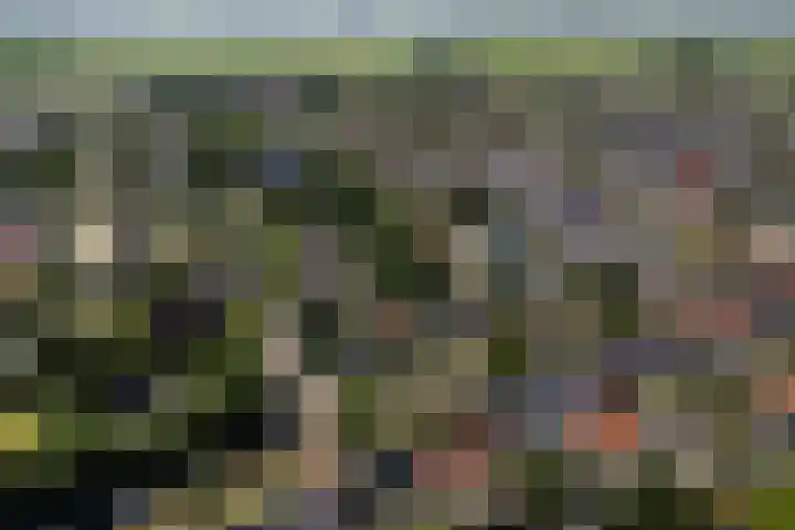 Lytsedyk 26 Menaam thumbnail 73