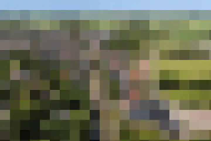 Lytsedyk 26 Menaam thumbnail 74
