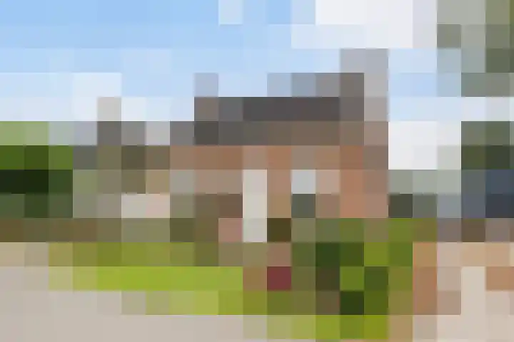 Lytsedyk 49 Bitgummole