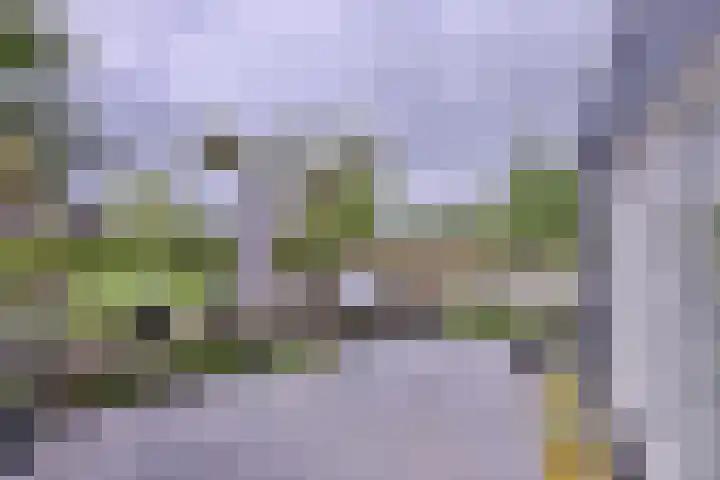 M.C. Escherweg 47 Deventer thumbnail 9