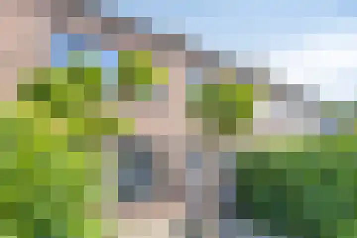 M.D.de Grootstraat 122 Goes thumbnail 39