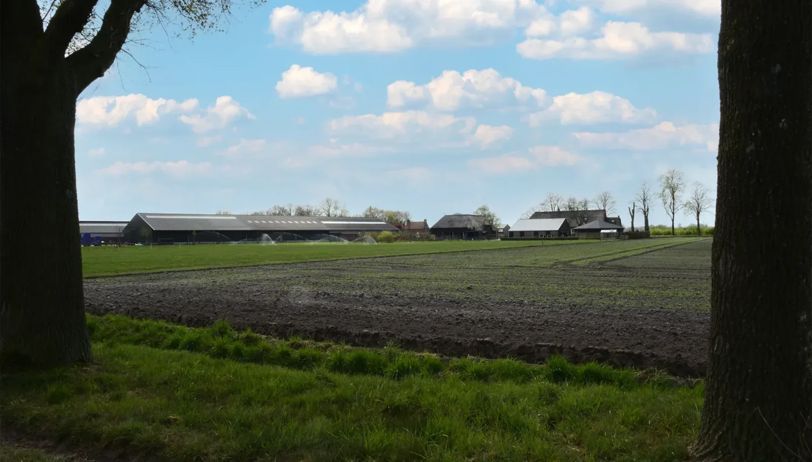 Mannschaftsfoto von M&M Makelaardij