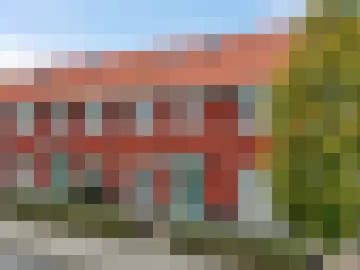 Maagd 9 Elst