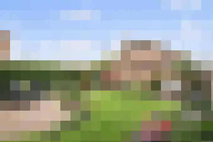 Maaibeemd 48 Breda thumbnail 27
