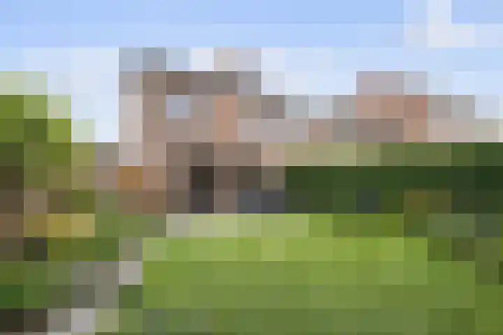 Maaibeemd 48 Breda thumbnail 30