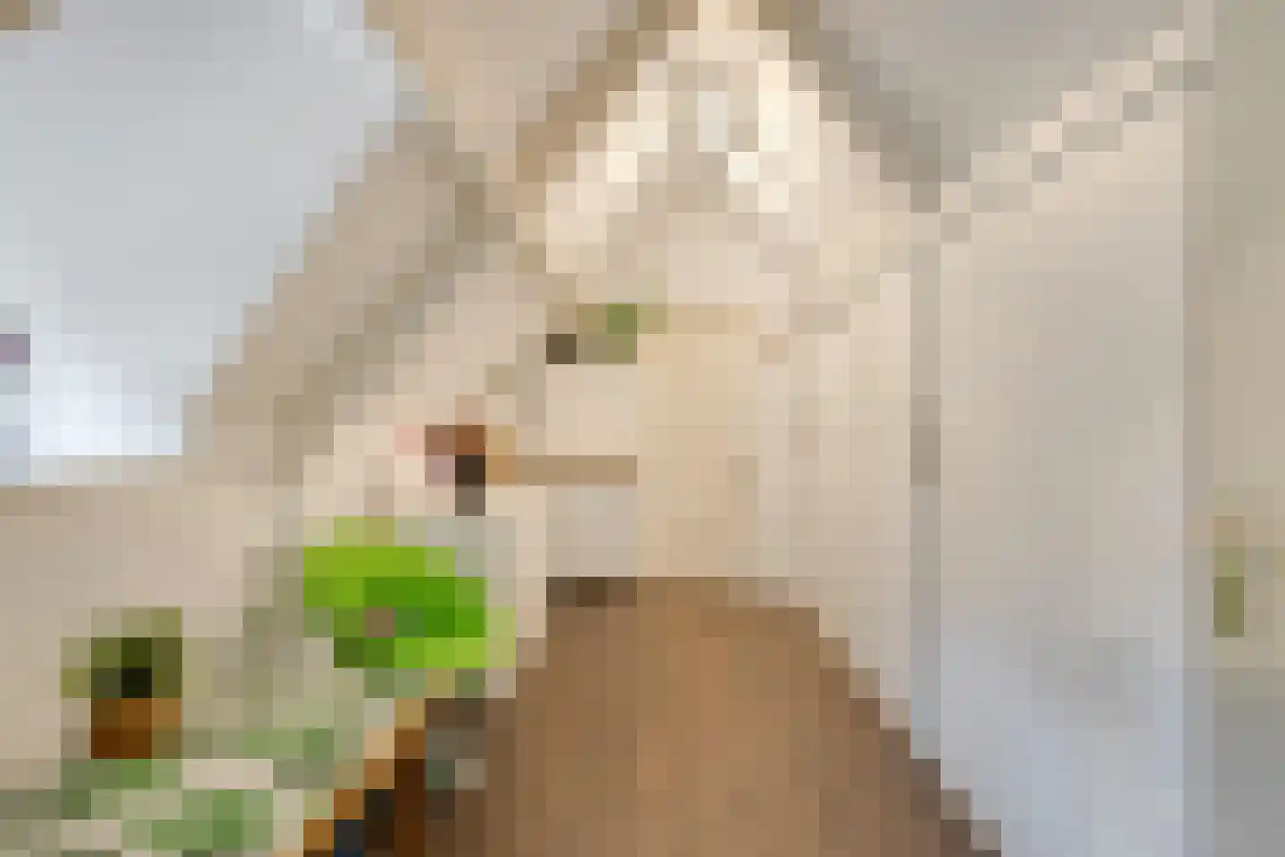 Maaij 9 Bergeijk thumbnail 26