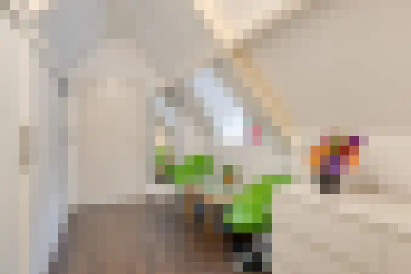 Maaij 9 Bergeijk thumbnail 27