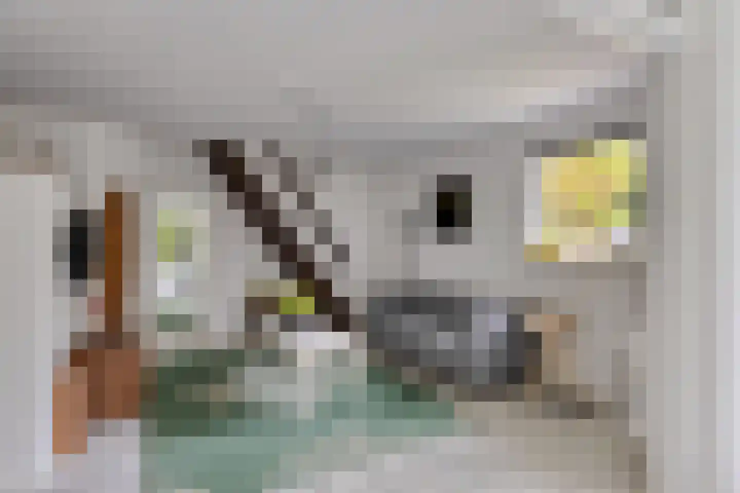 Maaij 9 Bergeijk thumbnail 38