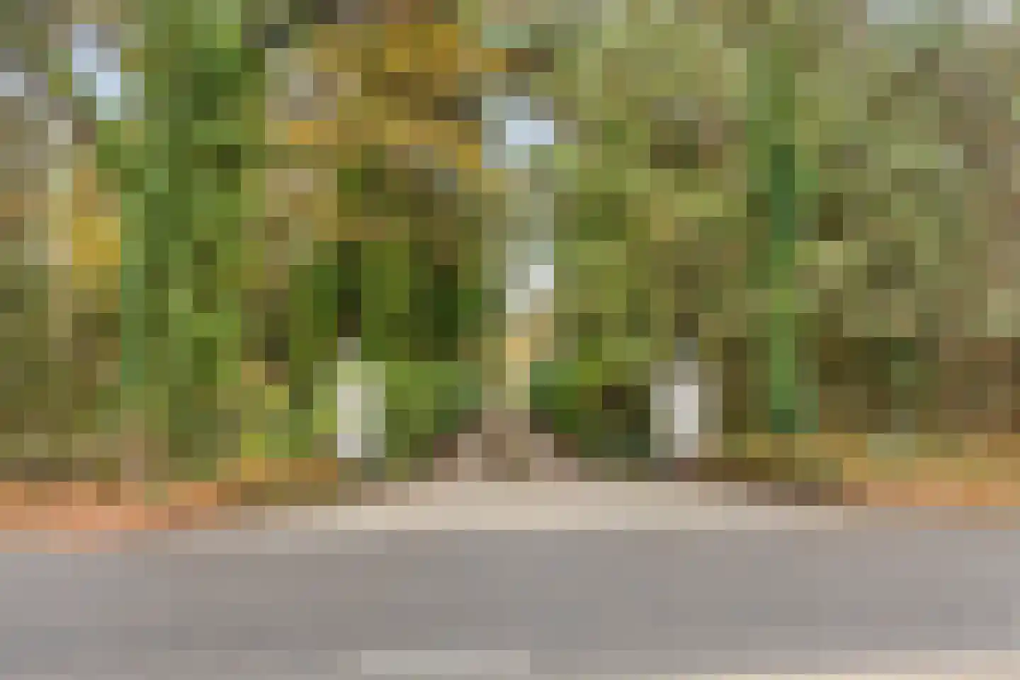 Maaij 9 Bergeijk thumbnail 5
