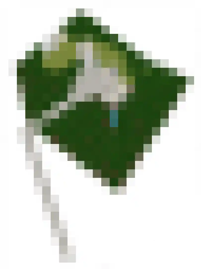 Maaij 9 Bergeijk thumbnail 58