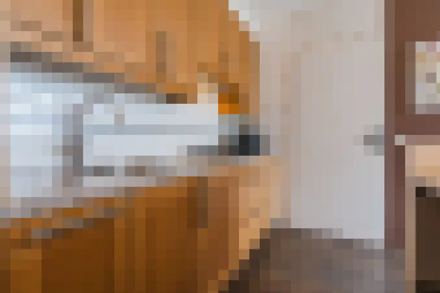 Maalakker 54 A Eindhoven thumbnail 22