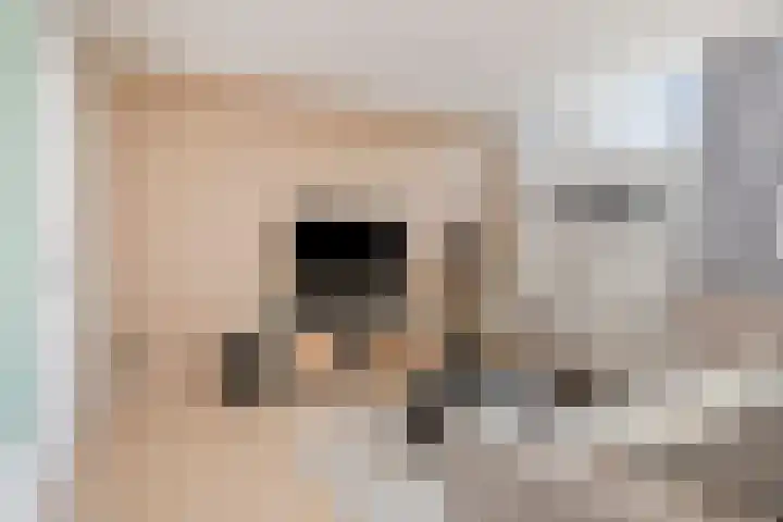 Maalakker 56 Eindhoven thumbnail 10