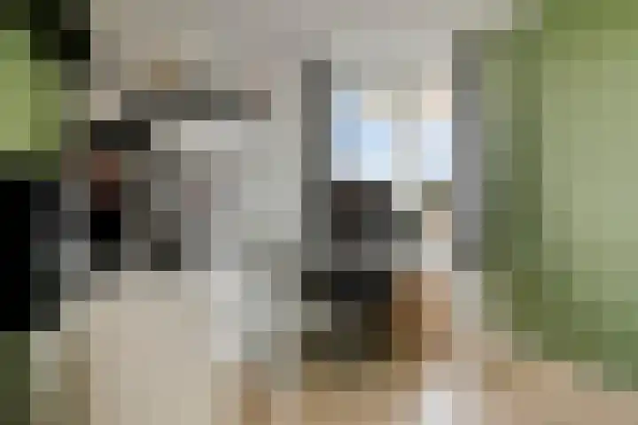 Maalakker 56 Eindhoven thumbnail 25