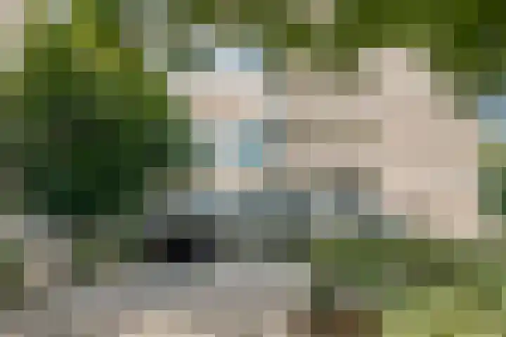 Maalakker 56 Eindhoven thumbnail 31