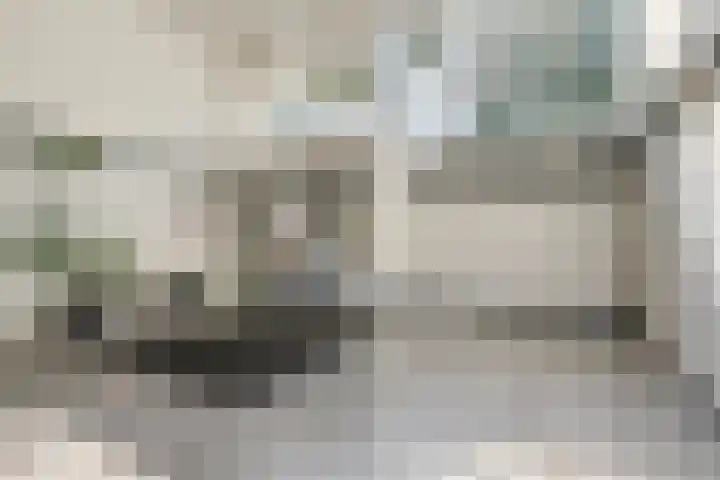 Maalakker 56 Eindhoven thumbnail 6