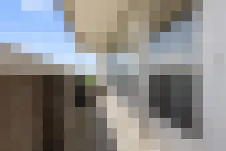 Maalakker 60 Eindhoven thumbnail 17