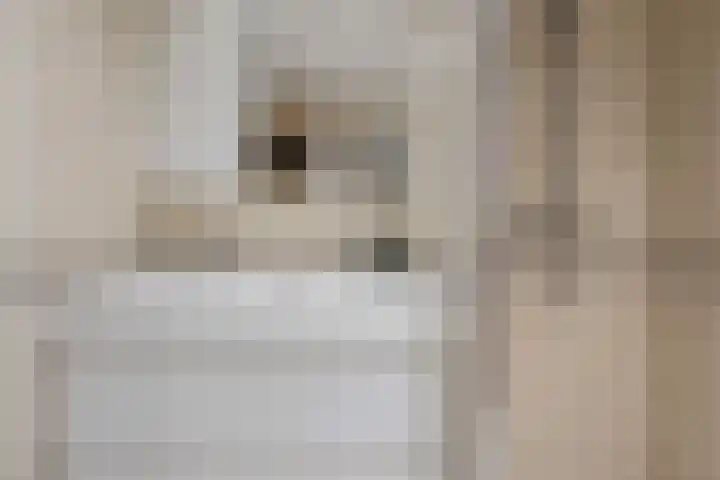 Maalakker 60 Eindhoven thumbnail 27