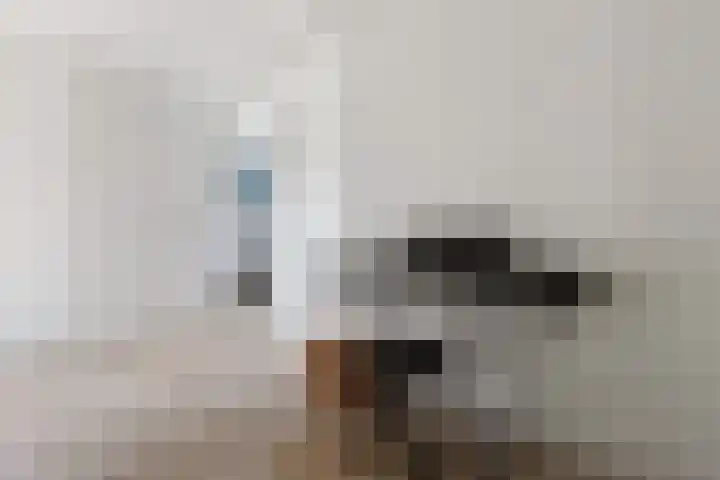 Maalakker 60 Eindhoven thumbnail 28