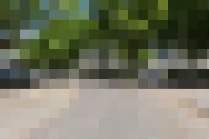 Maalakker 60 Eindhoven thumbnail 31