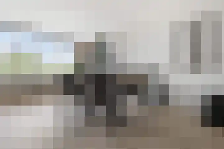 Maalakker 60 Eindhoven thumbnail 7
