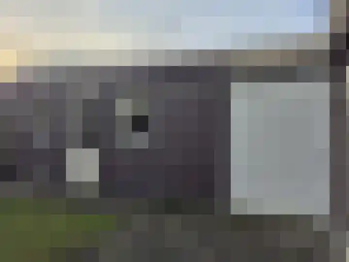 Maalderij 2 Hoogeloon thumbnail 12