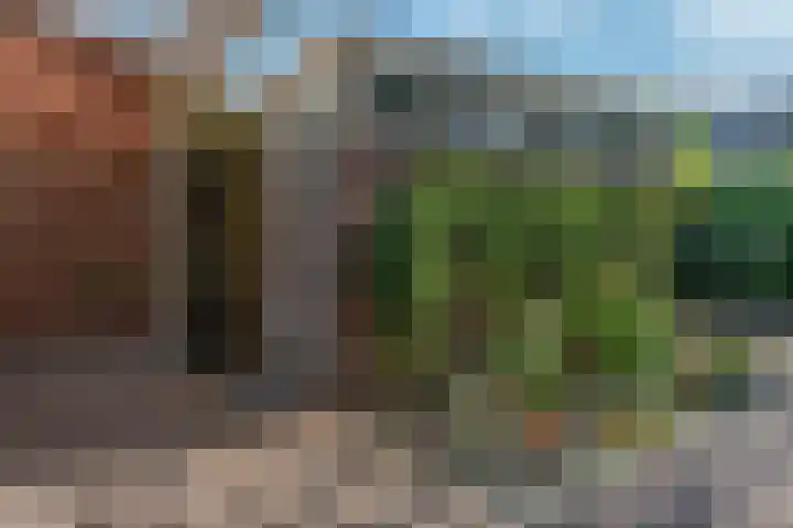 Maalderij 4 Eemnes thumbnail 30