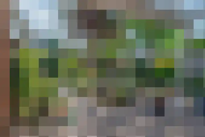 Maalderij 4 Eemnes thumbnail 32