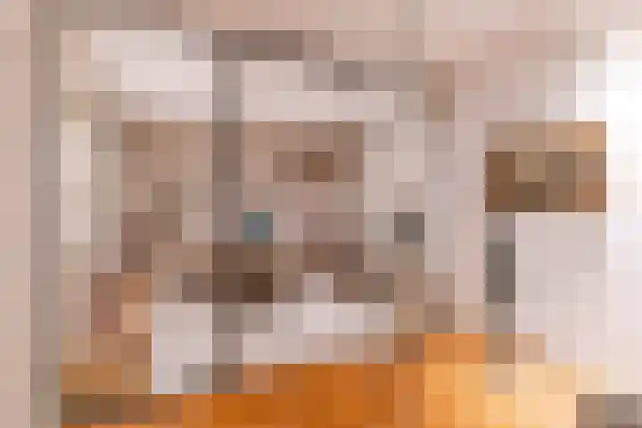 Maaldrift 1 Wassenaar thumbnail 13