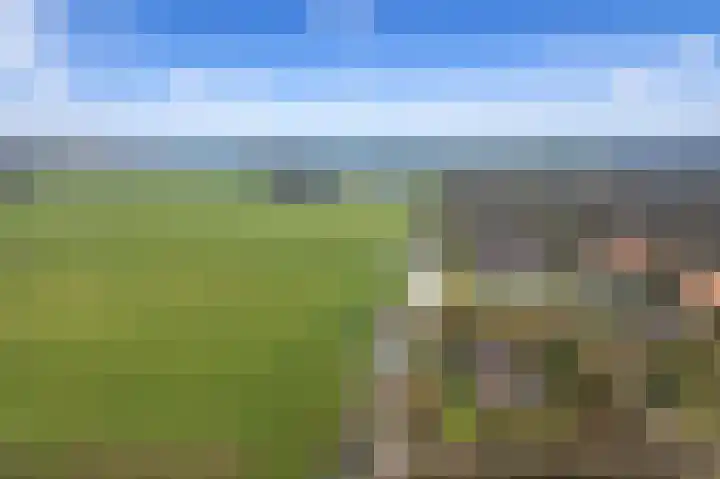 Maaldrift 1 Wassenaar thumbnail 27