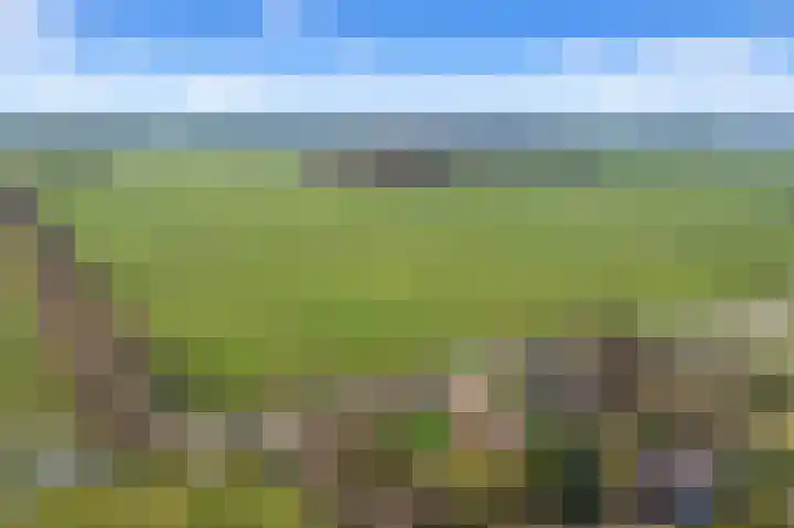 Maaldrift 1 Wassenaar thumbnail 28