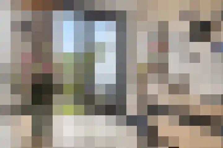 Maalsteen 25 Zuidland thumbnail 10