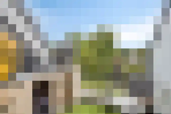Maalsteen 25 Zuidland thumbnail 12