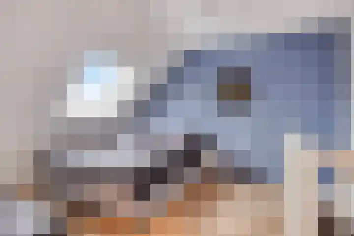 Maalsteen 25 Zuidland thumbnail 16