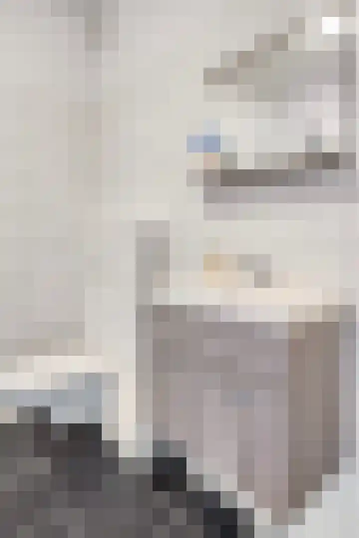 Maalsteen 25 Zuidland thumbnail 18