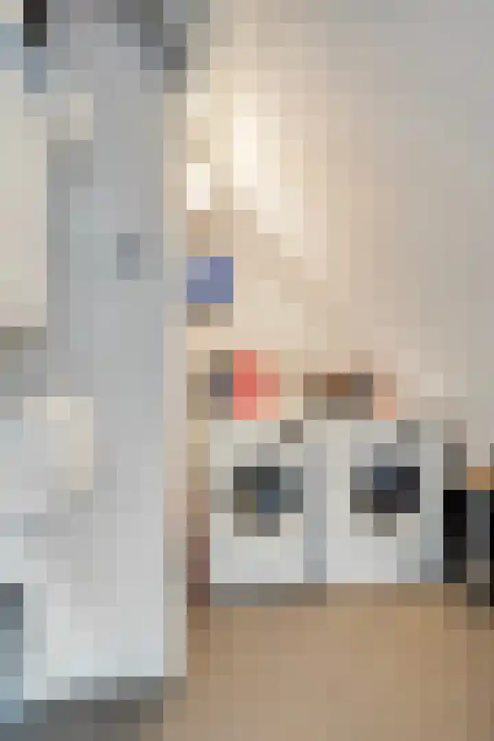 Maalsteen 25 Zuidland thumbnail 20