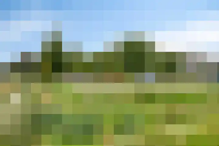 Maalsteen 25 Zuidland thumbnail 25